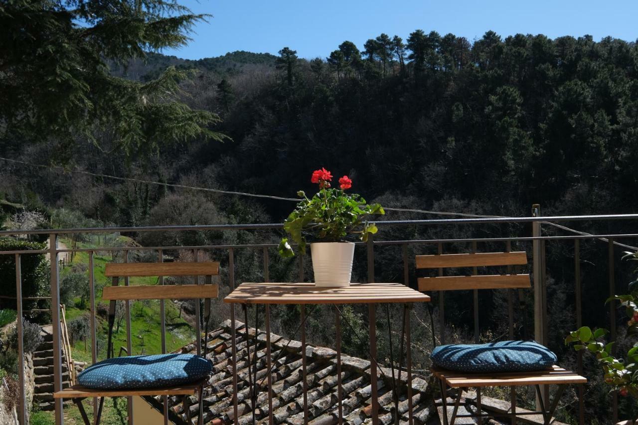 B&B Panoramic Greve in Chianti Eksteriør billede